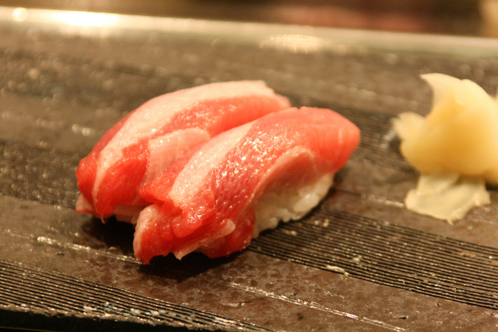 What is Otoro Bluefin Tuna?